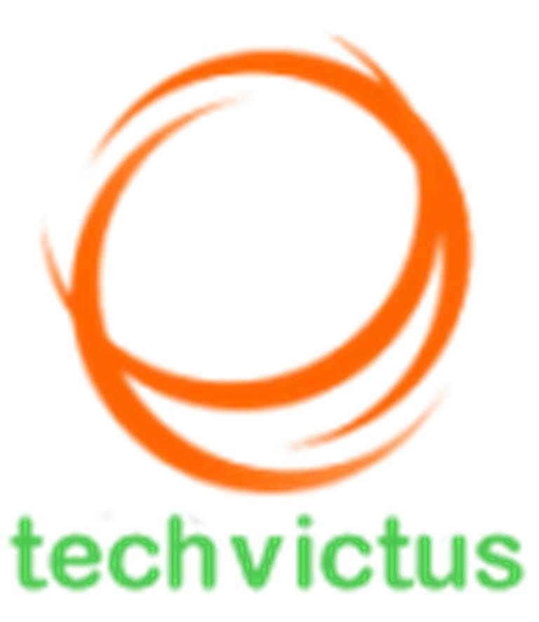 Techvictus Consultancy Services Pvt Ltd