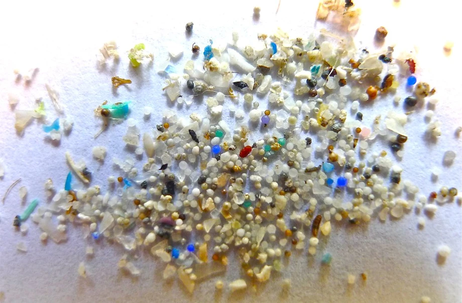 IIT Guwahati team removes micro-plastics from sea water using hollow fiber membrane