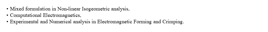 
Mixed formulation in Non-linear Isogeometric analysis,
Computational Electromagnetics,
Experimental and Numerical analysis in Electromagnetic Forming and Crimping.