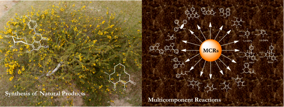 Research Image 2