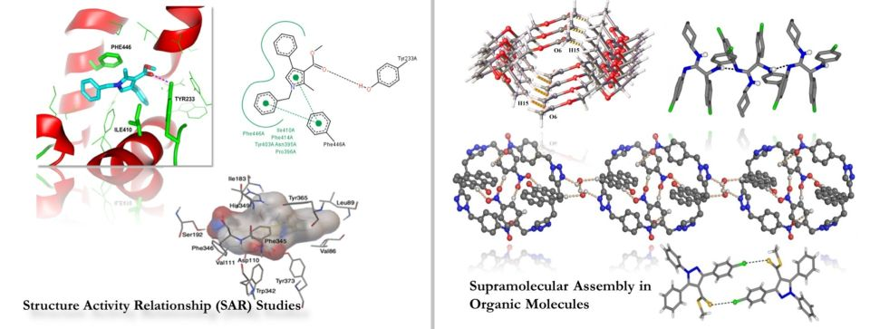 Research Image 5
