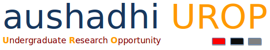 Undergraduate Research Opportunity Programme