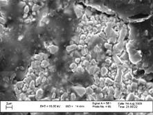 10 cobalt 7MoS2 compacted at 40 kN-2