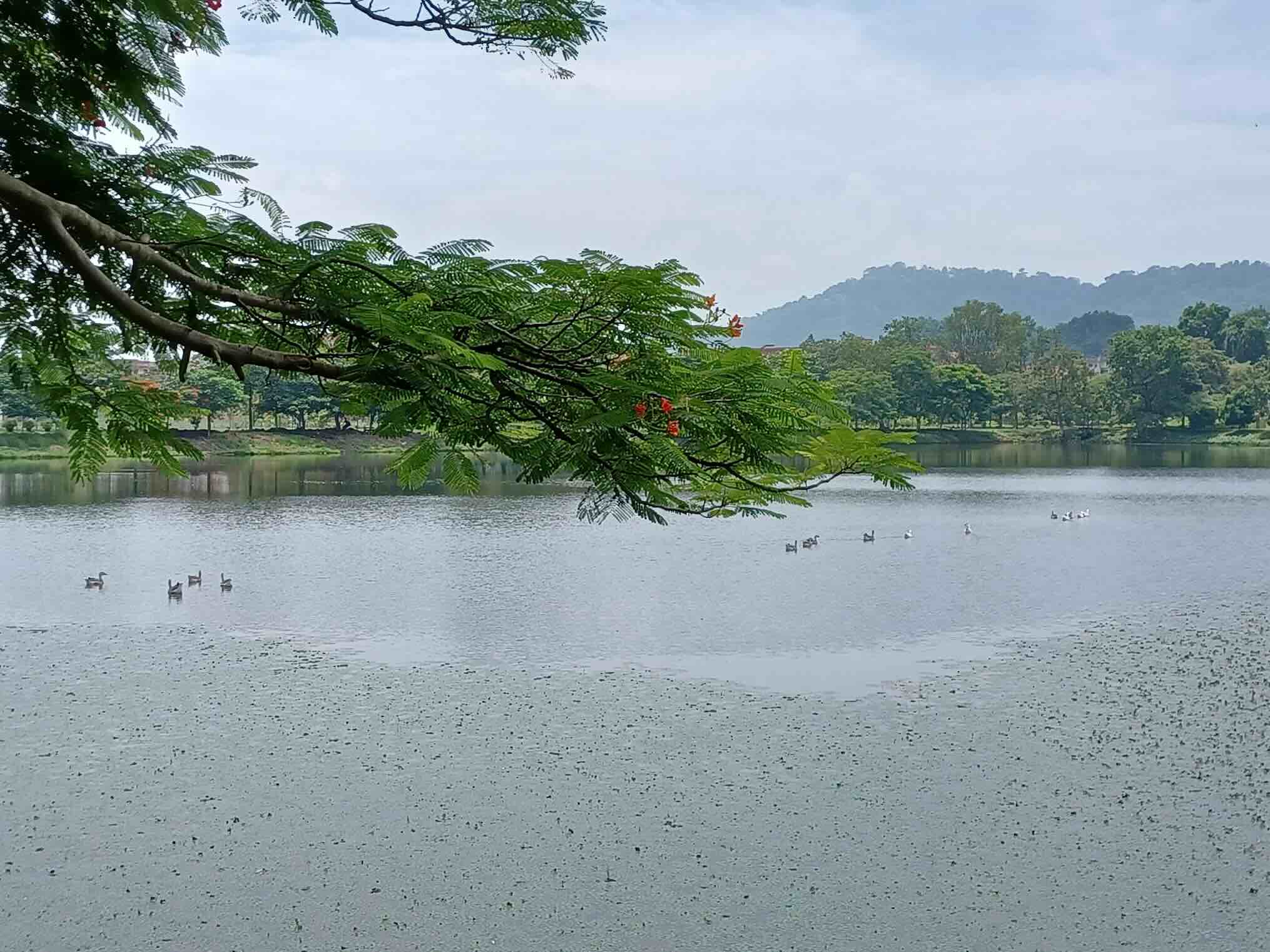 IITG Lake