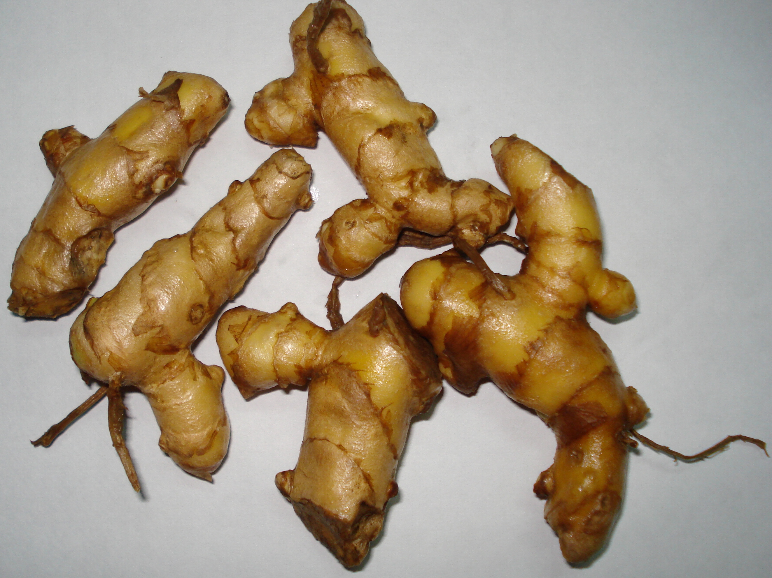 Curcuma Amada