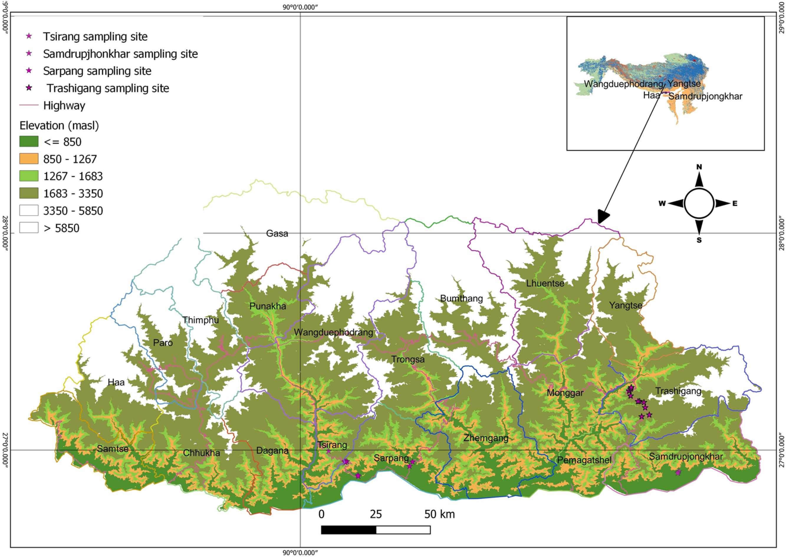 Field biodiversity survey