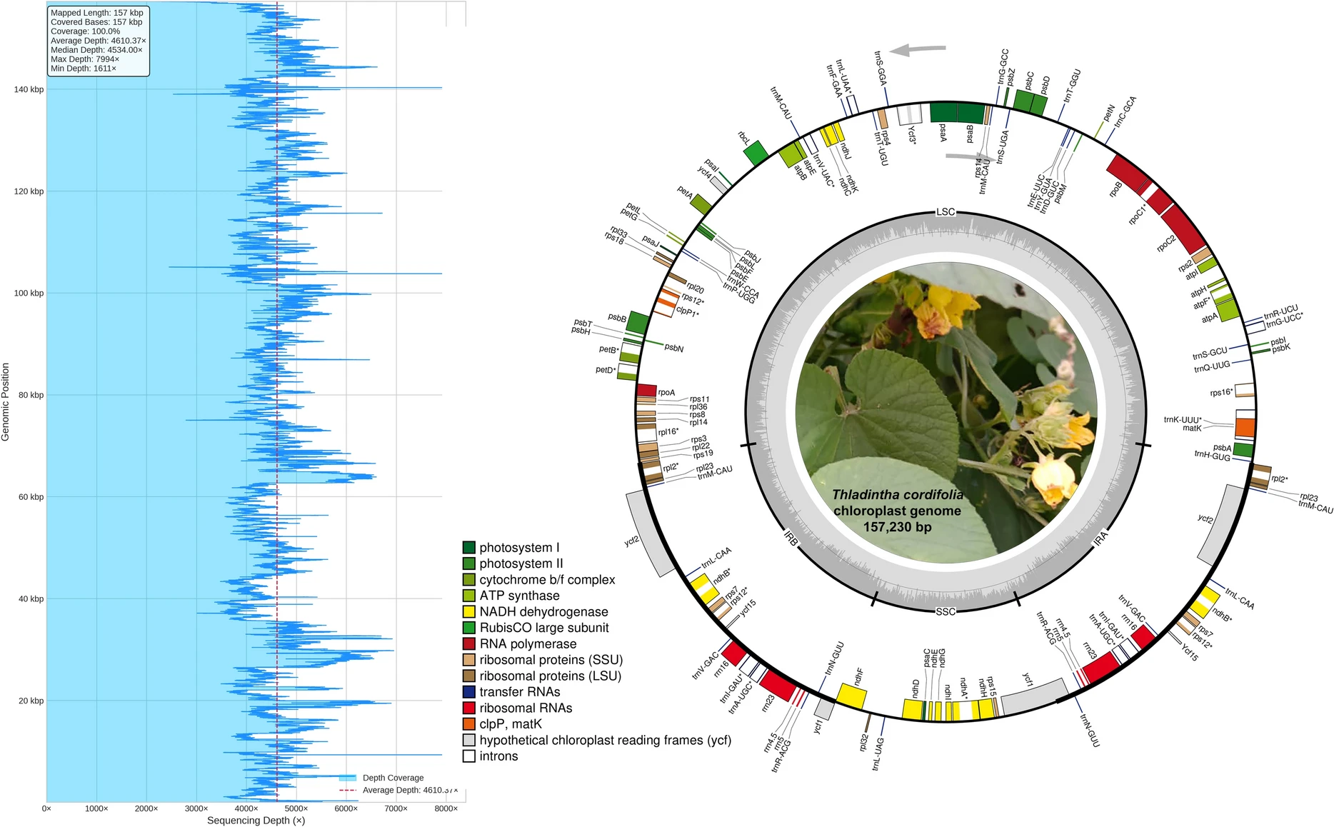 Genomics research