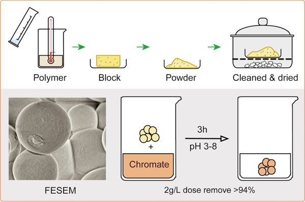 ChromiumRemoval2018