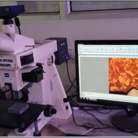 Upright Optical Microscope