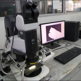 Stereo ZOOM  Microscope