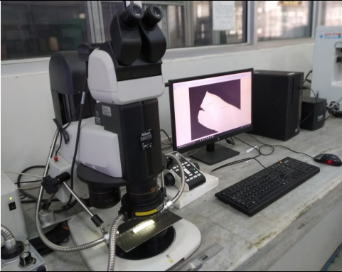 Stereo ZOOM  Microscope