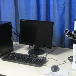 Inverted Metallurgical Microscope