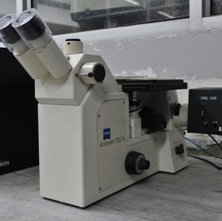 Optical Microscopes