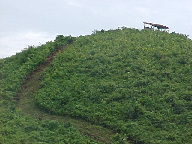 hilltop.jpg