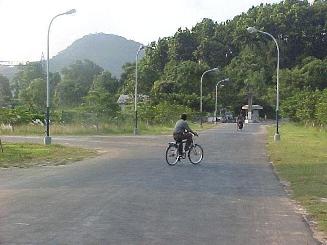 road.jpg