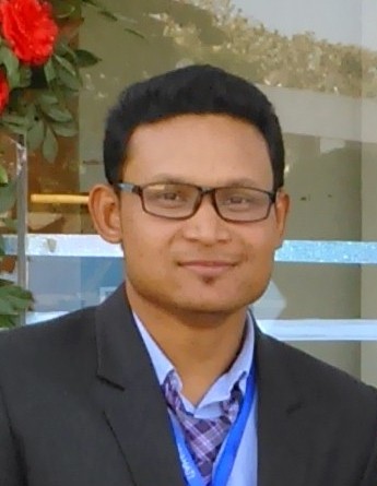 Manash P Borgohain