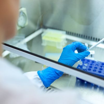 Carbon Nanotubes Based Nanocomposites