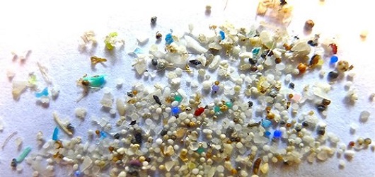 IIT Guwahati team removes micro-plastics from sea water using hollow fiber membrane