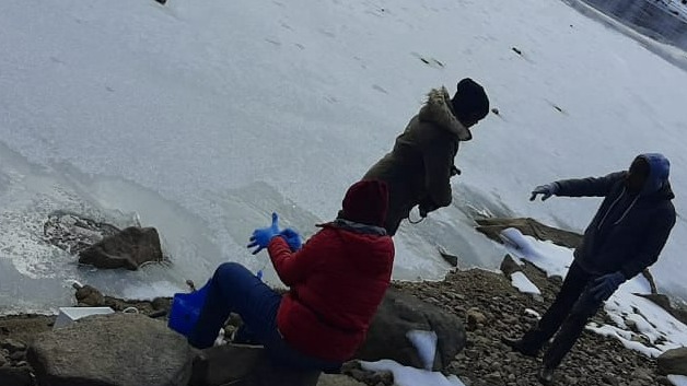 Mobirise Website Builder