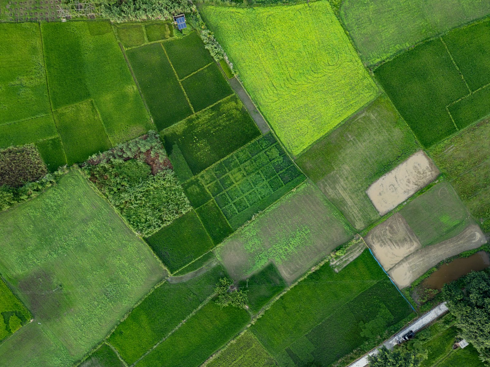 Outreach field photograph